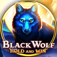 BLACK WOLF HOLD AND WIN